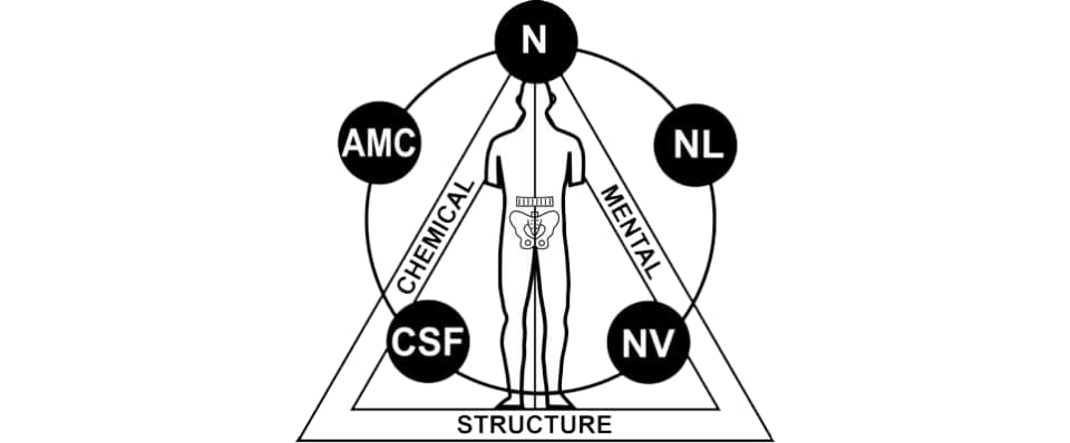 Kinésiologie appliquée
